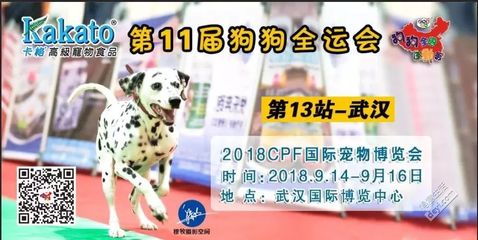 比《延禧攻略》更燃！2023 CPF武漢寵博會最全參觀攻略，帶你與愛寵樂翻天
